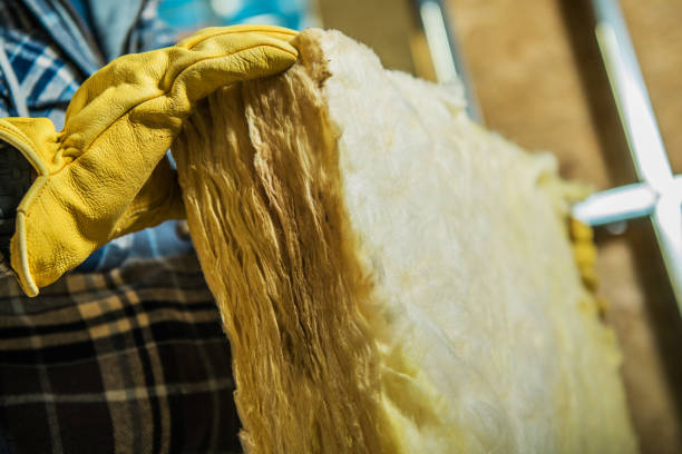Best Home Insulation Services  in Covgton, IN